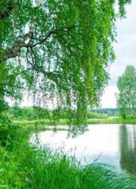 Здесь русский дух... Квест