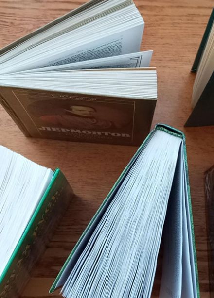 Плавание по книжному морю