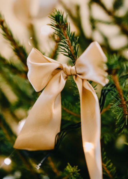 Новогодние приключения Иго-го! Новый год с конем