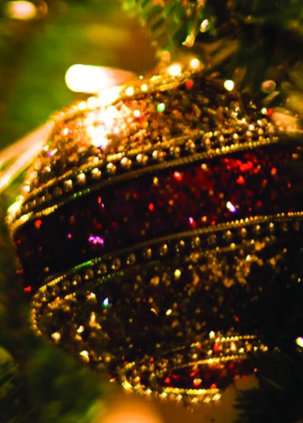 Трогай! Это на Новый год. Авторская лекция Елены Богдановой