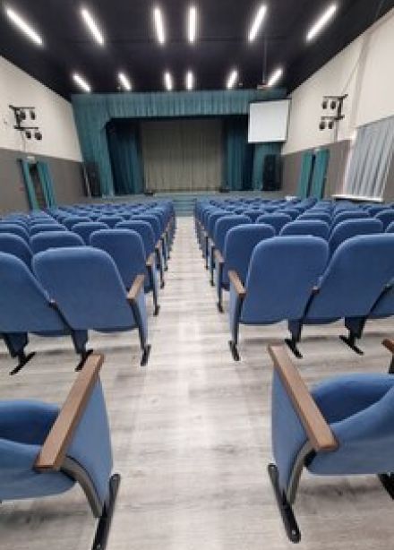 Мастерство оратора. Мастер-класс по сценической речи