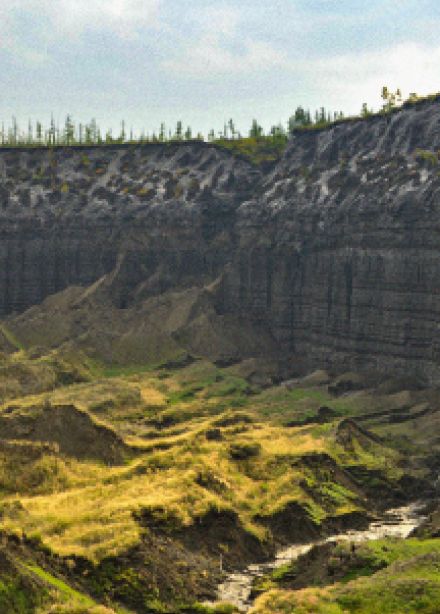 Нижний мир Якутии: Музейное занятие