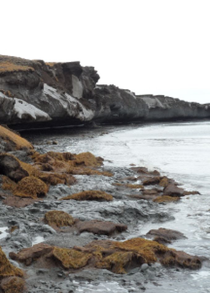 Тающие острова России: Музейное занятие