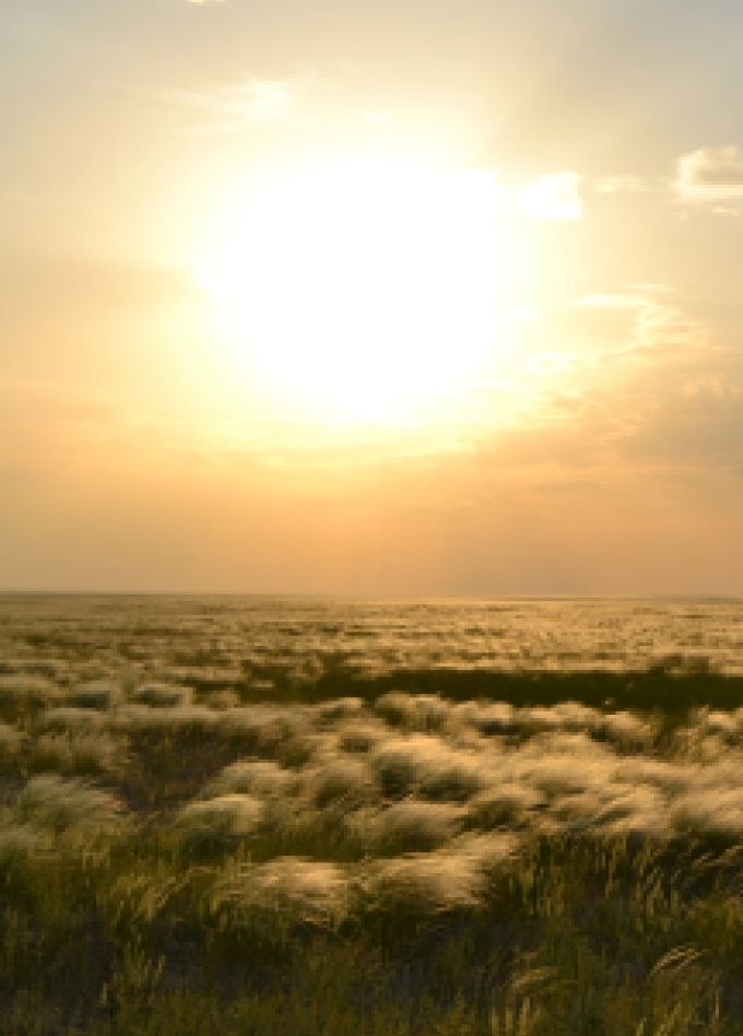 Природа Оренбуржья: Музейное занятие