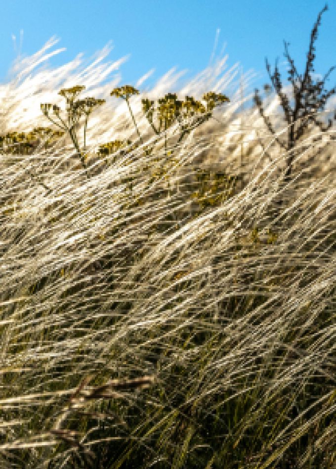 Музейное занятие: Всё о Красной книге