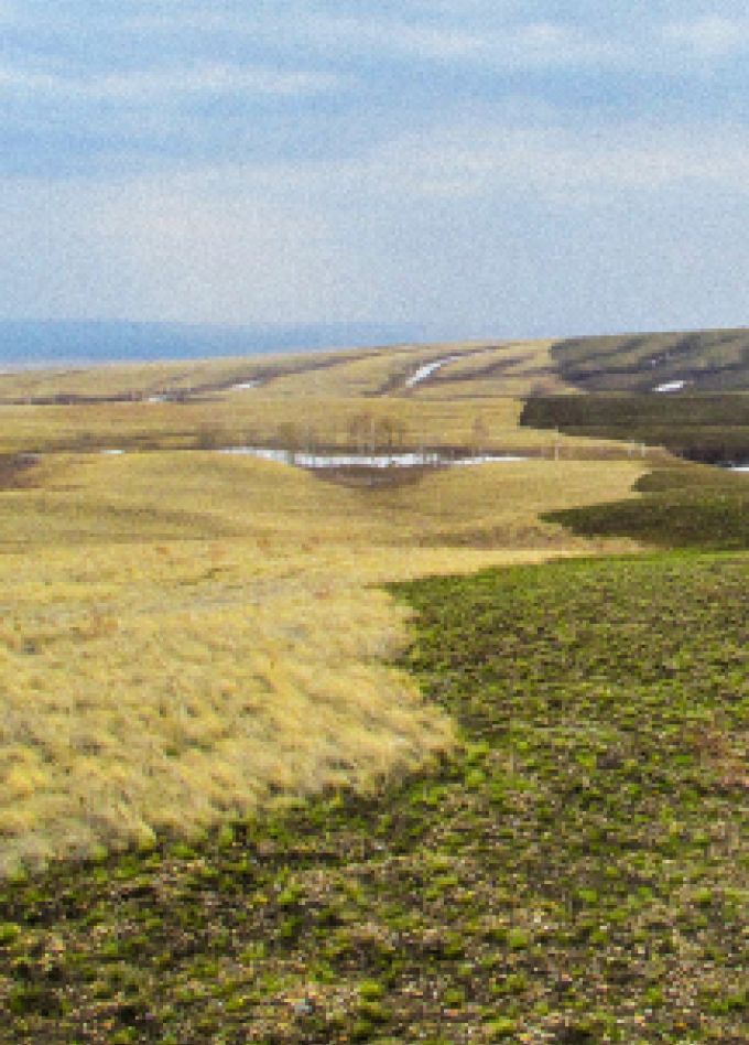 Музейное занятие: Влияние пожаров на степные экосистем