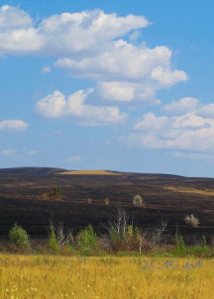 Степные пожары: мифы и реальность. Музейное занятие