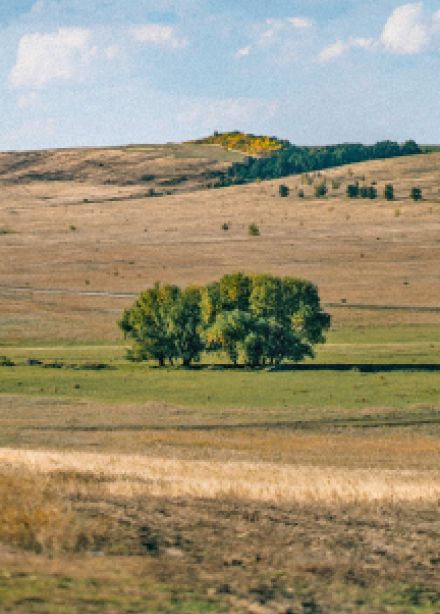 Оренбургская область: природа и население степного края. Лекция